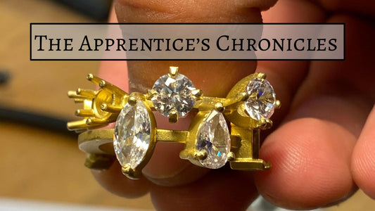 Stage 1: The Journey Begins